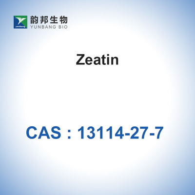 Bubuk Bahan Baku Antibiotik Zeatin CAS 13114-27-7 C10H13N5O