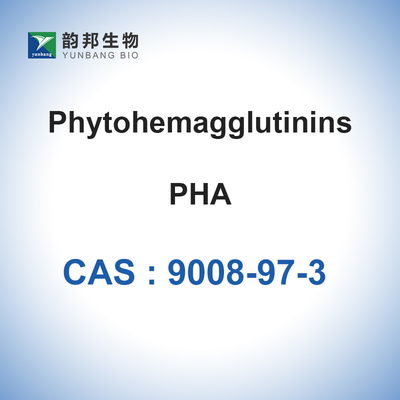 PHA Phytohemagglutinin-M Phaseolus Vulgaris CAS 9008-97-3 Bubuk Lyophilized
