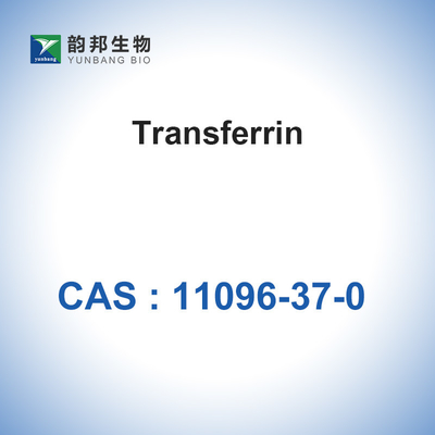 CAS 11096-37-0 Enzim Katalis Biologis / Transfer Holo Manusia
