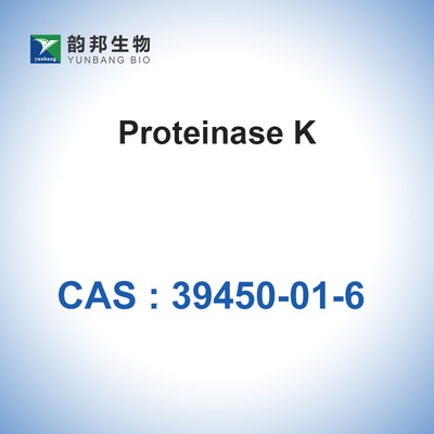 Proteinase K CAS 39450-01-6 Reagen Enzim SGS Disetujui Biokimia