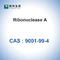 RNase A Ribonuclease A Dari Bovine Pankreas Biologis CAS 9001-99-4