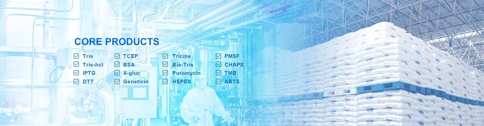 Enzim Katalis Biologis