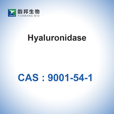 Hyaluronidase CAS 9001-54-1 Enzim Katalis Biologis Farmasi