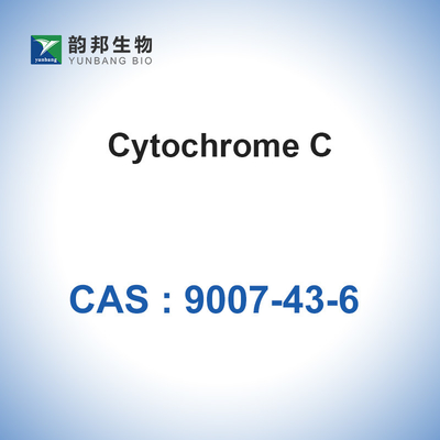 CAS 9007-43-6 Katalis Biologis Enzim Sitokrom C Dari Jantung Kuda
