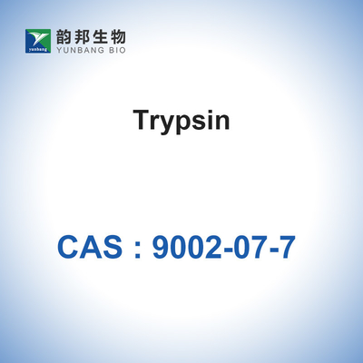 CAS 9002-07-7 Enzim Katalis Biologis 7,6 pH Tripsin Dari Pankreas Porcine
