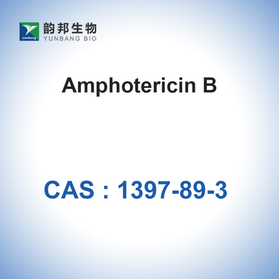 Kultur Sel Bubuk Amfoterisin B CAS 1397-89-3 Antibiotik