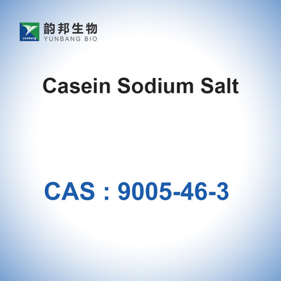 CAS 9005-46-3 Sodium Caseinate Powder IVD Casein Sodium Salt Dari Susu Sapi