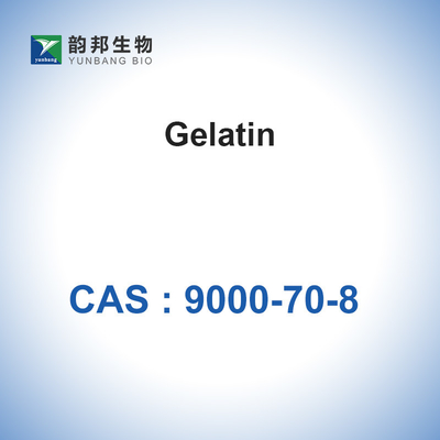 Teleostean Gelatin Powder Pengental Spons Gelatin yang Dapat Diserap CAS 9000-70-8