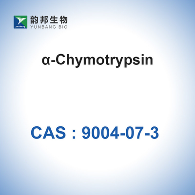 9004-07-3 Katalis Biologis Enzim Chymotrypsin（＞1200u/Mg）α-Cymotrypsin