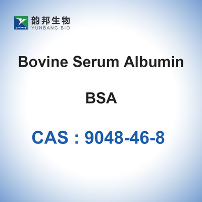 Bovine Serum Albumin Powder CAS 9048-46-8 Biochemical Reagent BSA Lyophilized Powder