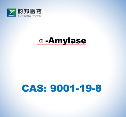 CAS 9001-19-8 α-Amylase dari pankreas babi