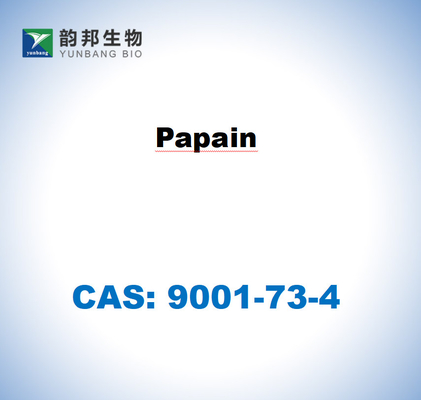 CAS 9001-73-4 Papain dari lateks pepaya
