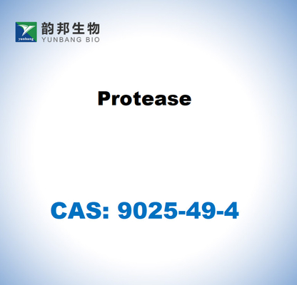 CAS 9025-49-4 Protease dari Aspergillus saitoi