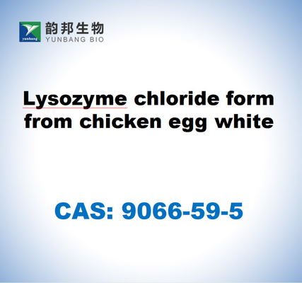 CAS 9066-59-5 Lysozyme Chloride Bentuk Dari Putih Telur Ayam