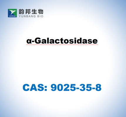 CAS 9025-35-8 α-Galactosidase dari Aspergillus Niger