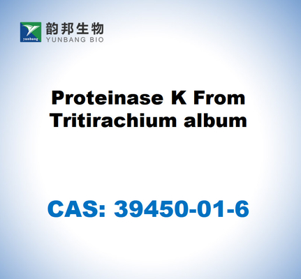 CAS 39450-01-6 Proteinase K dari album Tritirachium