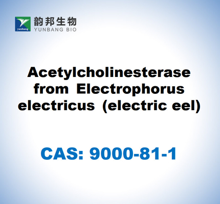 CAS 9000-81-1 Butyrylcholinesterase dari serum kuda