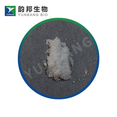 CAS 352-97-6 Reagen biokimia asam guanidinoasetat menawarkan