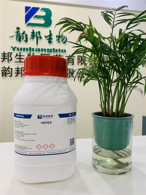 CAS 7365-45-9 HEPES Molecular Biology Grade Free Acid 99,5%