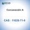 CAS 11028-71-0 Concanavalin A Dari Canavalia Ensiformis Jack Bean