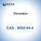 Trombin Putih Dari Plasma Manusia CAS 9002-04-4 Trombin (＞2000u/Mgpr)
