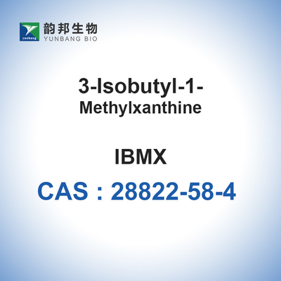 IBMX CAS 28822-58-4 3-Isobutyl-1-Methylxanthine Bahan Kimia Halus