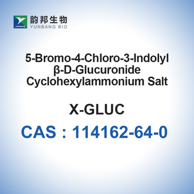 CAS 114162-64-0 Garam X-Glucorono CHA 5-Bromo-4-Chloro-3-Indolyl -D-Glucuronide Garam Sikloheksilammonium