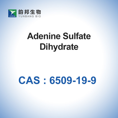 CAS 6509-19-9 Reagen laboratorium Adenine sulfate dihydrate