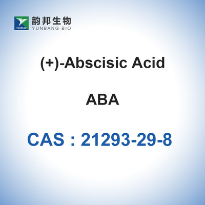 Dormin (+)- Asam Absisat CAS 21293-29-8 Glikosida ABA
