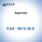CAS 9012-36-6 Agarosa Biokimia Glikosida BioReagen