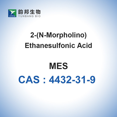 CAS 4432-31-9 MES Buffer Biologis Asam 4-Morpholineethanesulfonic