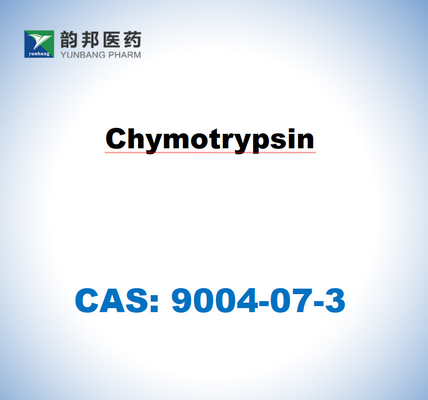 α-Chymotrypsin 9004-07-3 dari pankreas sapi USP Grade ((1500u/Mg)
