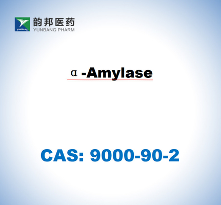 CAS 9000-90-2 α-Amylase dari Bacillus Sp. 4000u/g