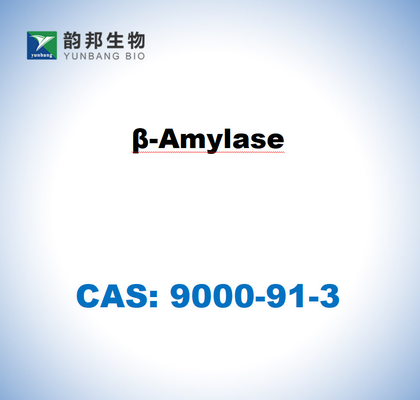 CAS 9000-91-3 Β-Amylase dari Kentang Manis