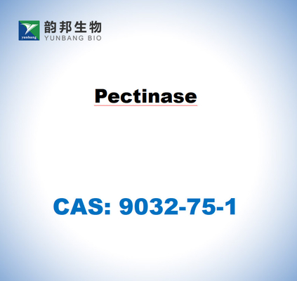 CAS 9032-75-1 Pektinase dari Aspergillus niger