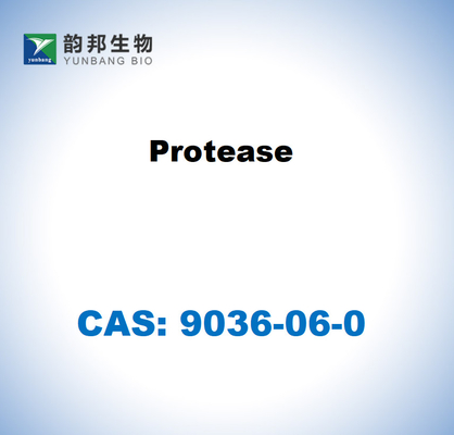 CAS 9036-06-0 Protease dari Streptomyces griseus
