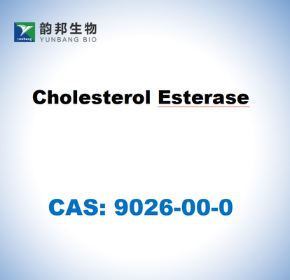 CAS 9026-00-0 Cholesterol Esterase dari Pseudomonas fluorescens
