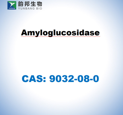 CAS 9032-08-0 Amiloglucosidase dari Aspergillus niger