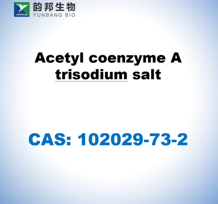 CAS 102029-73-2 Asetil koenzim A garam trisodium