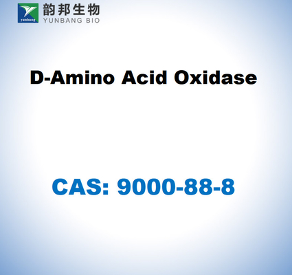 CAS 9000-88-8 D-Amino Acid Oxidase dari ginjal babi