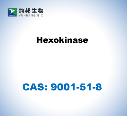 CAS 9001-51-8 Hexokinase dari Saccharomyces cerevisiae