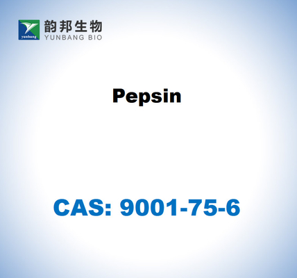 CAS 9001-75-6 Pepsin dari lendir lambung babi