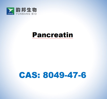 CAS 8049-47-6 Pankreatin dari pankreas babi