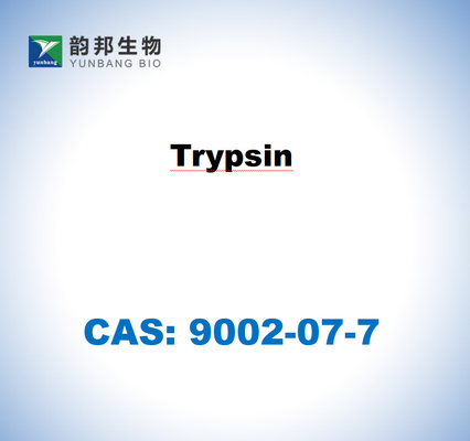 CAS 9002-07-7 Trypsin dari pankreas babi