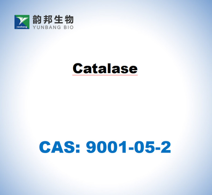 CAS 9001-05-2 Katalase dari hati sapi