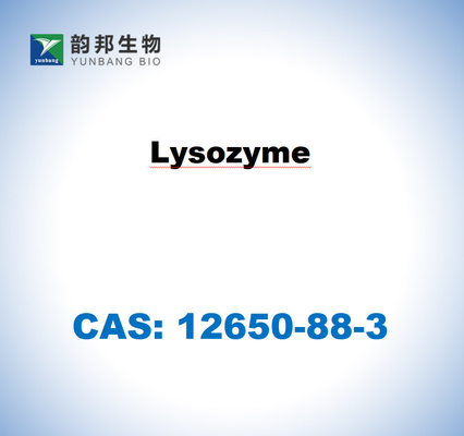 CAS 12650-88-3 Lisozim dari putih telur ayam