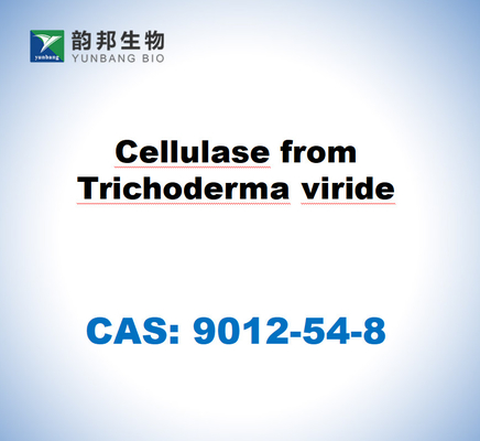 CAS 9012-54-8 Selulosa Dari Trichoderma Viride