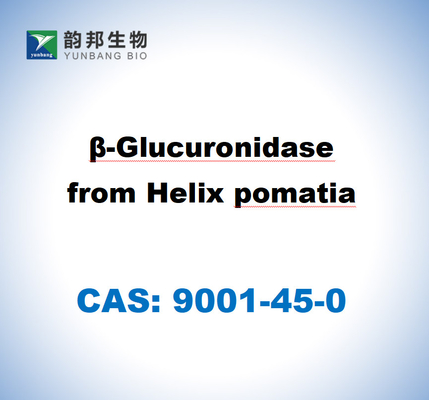 CAS 9001-45-0 Β-Glucuronidase dari Helix Pomatia