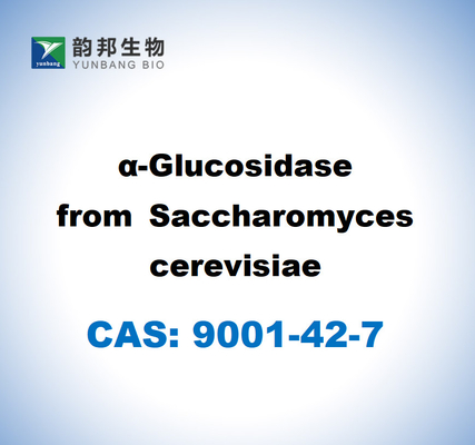 CAS 9001-42-7 α-Glucosidase dari Saccharomyces Cerevisiae