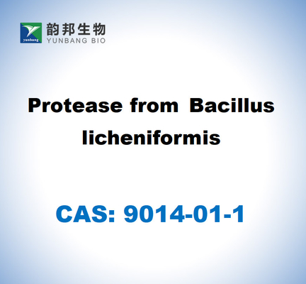 CAS 9014-01-1 Protease dari Bacillus Licheniformis